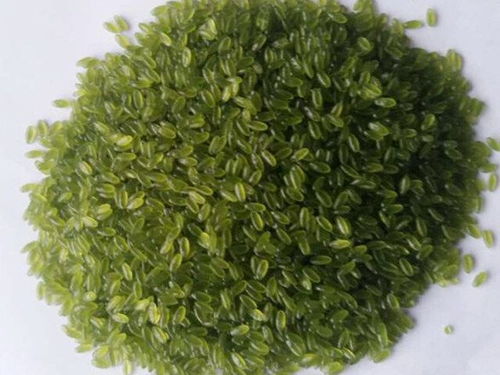 玉米雜糧設(shè)備,黃金米設(shè)備,玉米雜糧面條設(shè)備,雜糧速融粥設(shè)備,雜糧方便面設(shè)備,長春市盛達食品工業(yè)研究所機械廠