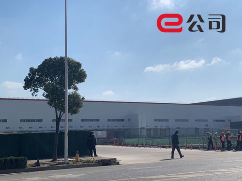 實(shí)探特斯拉上海工廠(chǎng) 半小時(shí)拉走36輛model 3